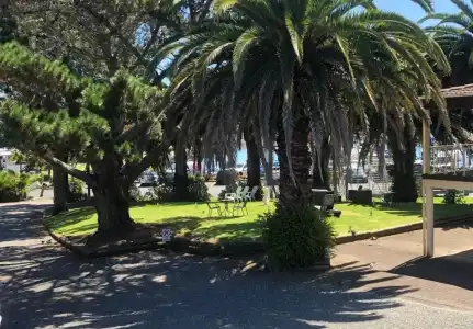 Half Moon Bay Motel - 111