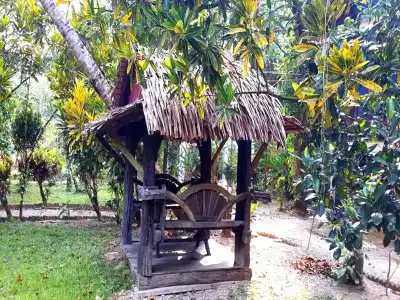 Tree Top River Huts - 19
