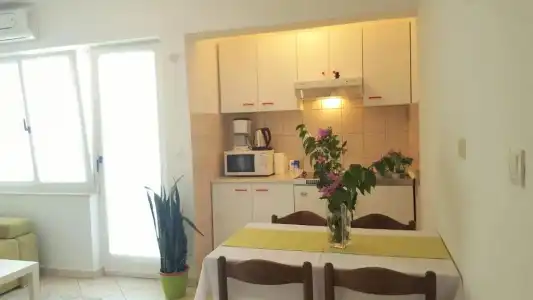 Apartments Vojin - 132