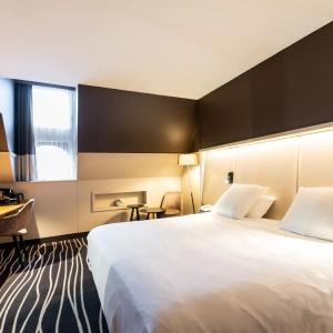 Mercure Colmar Centre Unterlinden - 46
