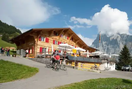 AlpinBort - 10