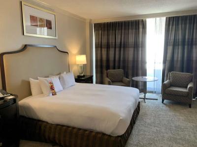 Hilton Houston Post Oak by the Galleria - 30