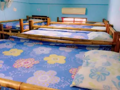 Bamboo Hostel - 1