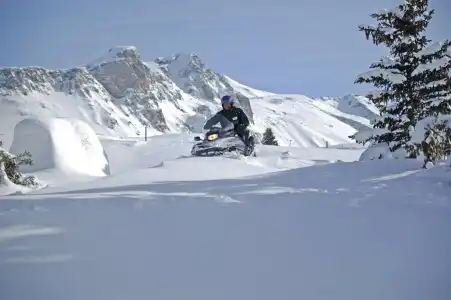 Alpen Ruitor - 29