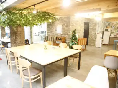 Twin Rabbit Hostel - 10