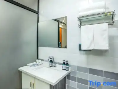ibis Singapore Novena - 83