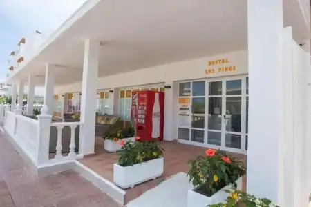 Hostal Los Pinos - 16