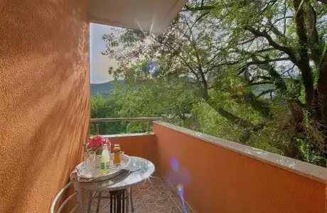 Vila Ivanovic - 77