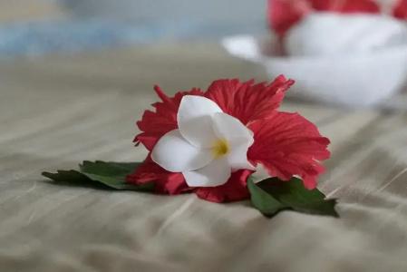 Zanzibar Bay Resort - 52