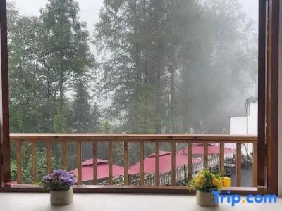 Piccolo Etruria - 83