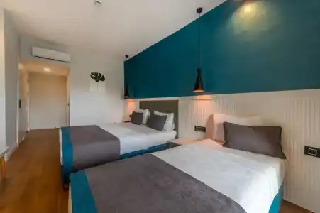 Tema 242 - 5