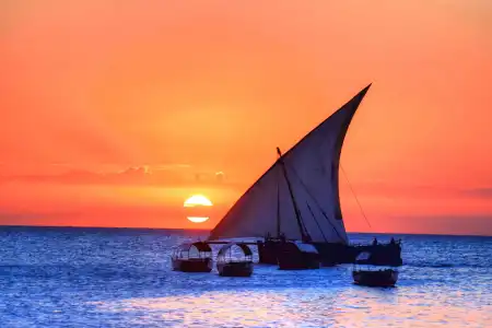 Park Hyatt Zanzibar - 24
