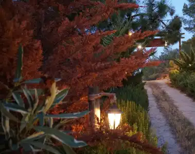 Datca Masal Gibi - 6