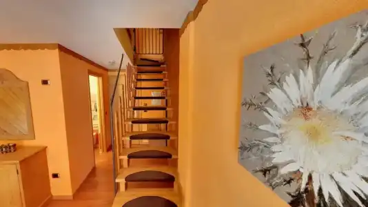Boton d'Or & Wellness - 40