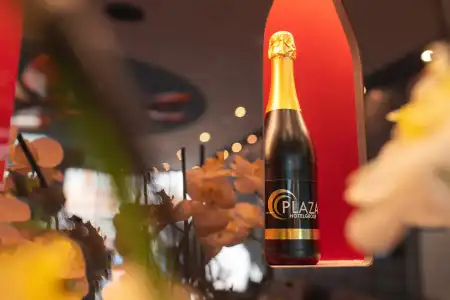PLAZA Premium - 32