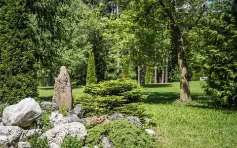 Waldsee - 48