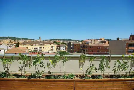 ApartArrels d'Empordà - 16