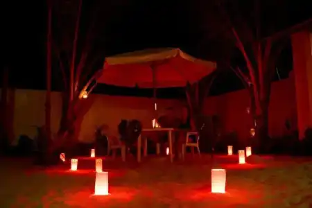 Palm Garden - 16