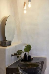 White Pearl Cavalieri - Adults Only - 126