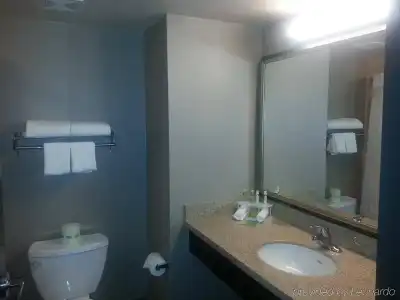 Holiday Inn Express & Suites Indio - Coachella Valley by IHG - 7