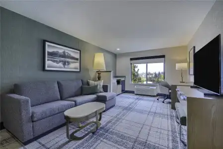 The Newberry Bend, Tapestry Collection by Hilton - 74