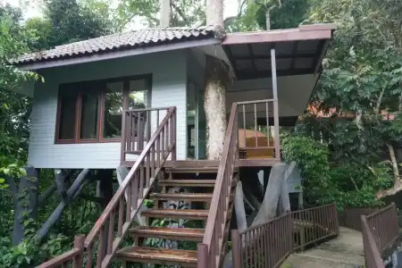 Rock And Treehouse Resort - 34