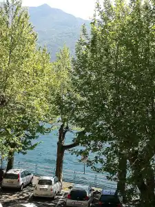 Belvedere - 15