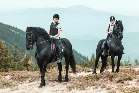 Rtanj Kopaonik Eco Resort & Spa - 14
