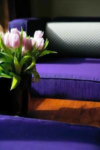The Fitzwilliam - 47