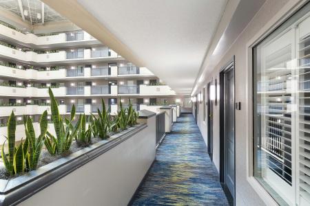 Embassy Suites by Hilton Orlando Airport - 14