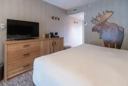 Moose And Suites - 70