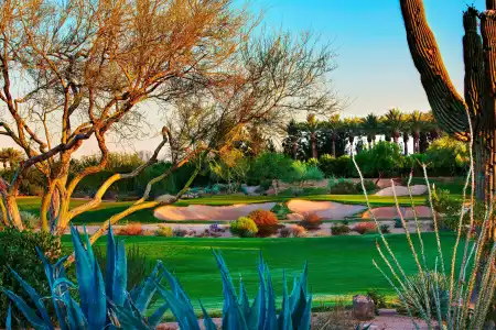 JW Marriott Phoenix Desert Ridge Resort & Spa - 44