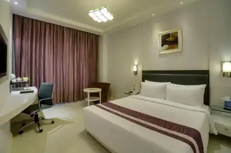 Sarovar Portico Naraina Delhi - 59