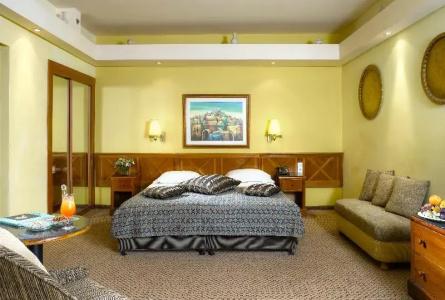 Olive Tree - 28