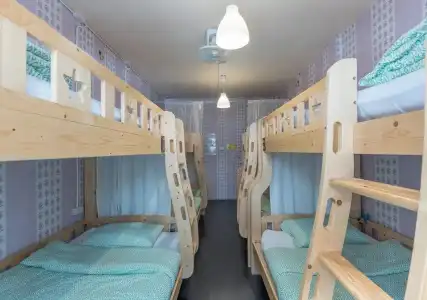 Tiger Lily Hostel - 1
