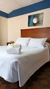 Elegance - 45