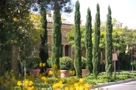 The Resort at Pelican Hill - 89