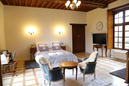 Logis du Chateau - 133