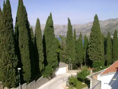 Villa Anka - 9