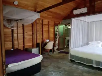 Turtle Eco Beach Resort - 13