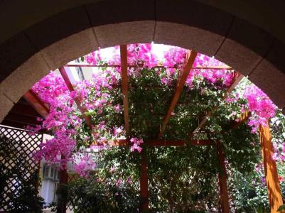 Summer Memories Apartments - 27