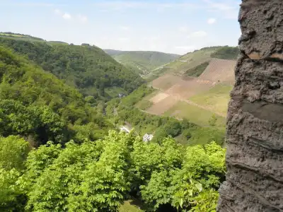 BurgAuf Schönburg - 52
