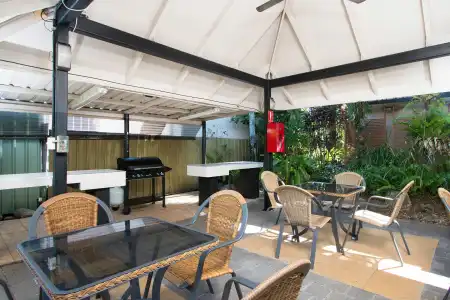 Cairns City Palms - 15