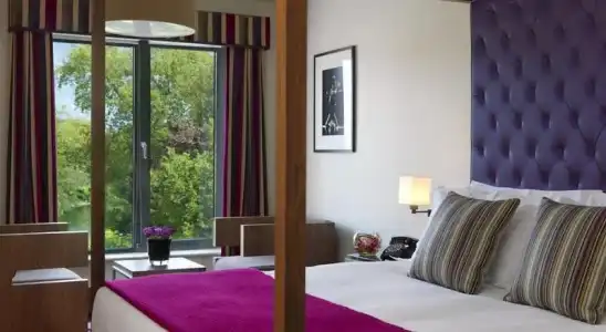 The Fitzwilliam - 66