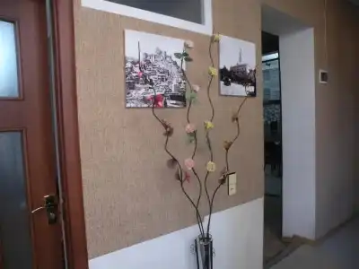 Guest House Nice - 10