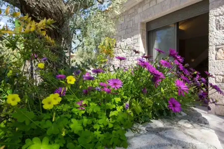 Anthemion Suites & Villas - 178