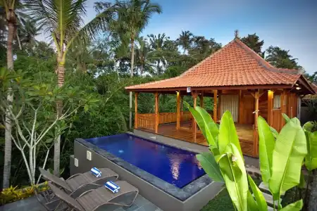 Ubud Heaven Sayan Villa - 5