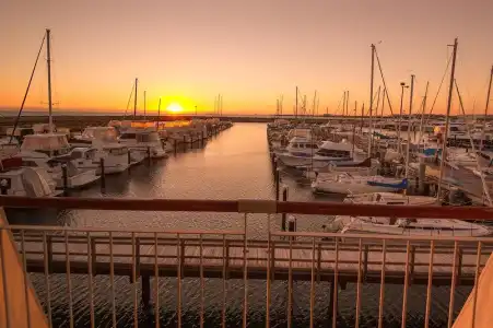 Be. Fremantle - 88