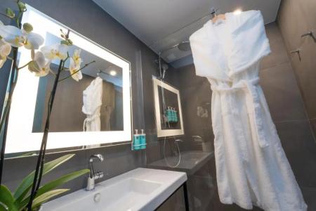 Novotel Angers Lac de Maine - 102