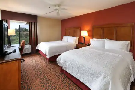 Hampton Inn & Suites Tucson-Mall - 6